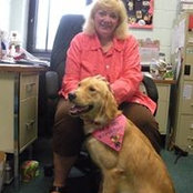 Allyn McLaughlin's photo