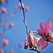 Gina Gest's photo