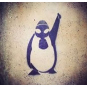 Serhat Baydar's photo