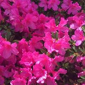 Kim Baumgarten's photo