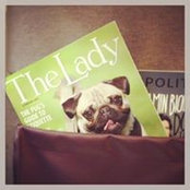 Susanne Dubuisson's photo