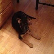 Randy Maria Delilo Bartlett's photo