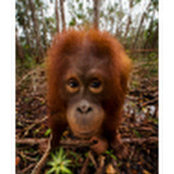 Anil Pali's photo
