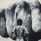 Franck Chotard's photo