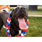 Katie Grier's photo