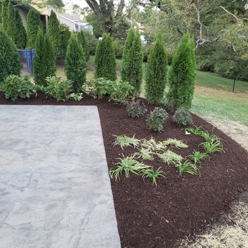 Privacy Shrub Installation