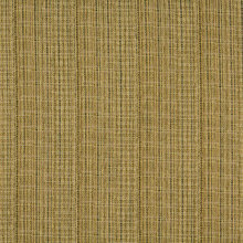 OLIVE GREEN - PUERTO CUPE COY