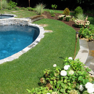 landscape design for existing pool