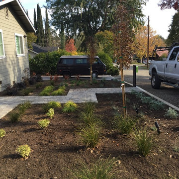 Contemporary, Low Maintenance and drought tolerant Front Yard in Walnut Creek