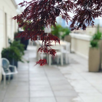 Terrasse en étage