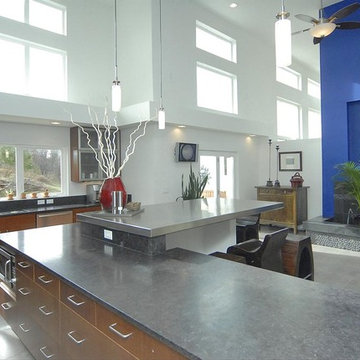 Contemporary Remodel