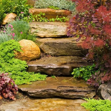 Boulders and Ledge Rock
