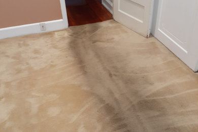 Before & After Carpet Stain Removal in Philadelphia, PA