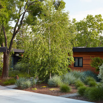 Los Gatos Garden