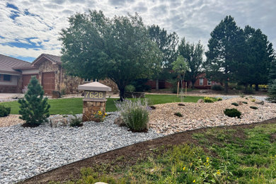 Ejemplo de jardín de secano clásico grande en verano en patio delantero con paisajismo estilo desértico, exposición total al sol y piedra decorativa