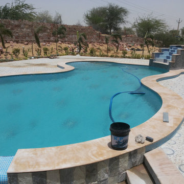 Farm House and swimming pool project - Bikaner