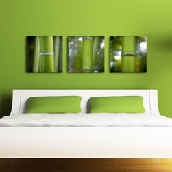 Platin Art's Deco Glass Wall Decor- Bamboo - Set of 3 - Wallpaper