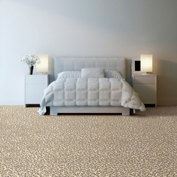 Dabbieri Collection