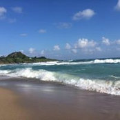 Camille Chang's photo