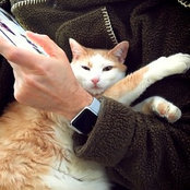 Joe Gingrasさんの写真