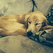 Michael Towsen's photo