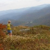 Foto von Kim Brigham