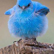 Michelle Kunkel's photo