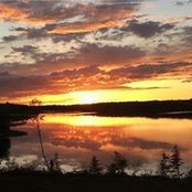 Lisa MacEachern's photo