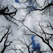 Foto von Rodolfo Cardozo