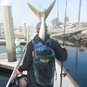 Foto von Saad Yasin