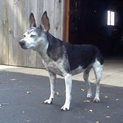 Brian Albanese's photo