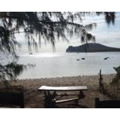 Olfa Gouider's photo