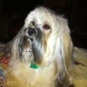 Jo Lefler Horneker's photo