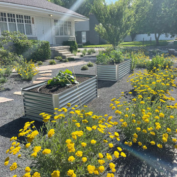 Xeriscape