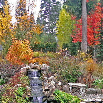 Fall Landscape