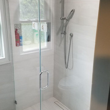 Frameless Shower Doors