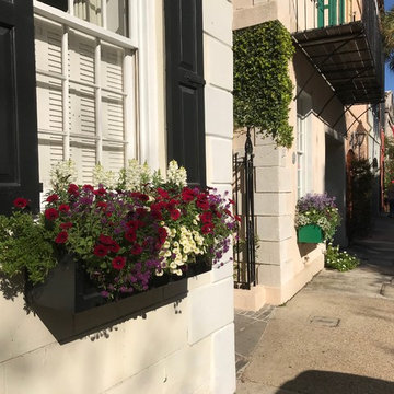 Southern Window Boxes