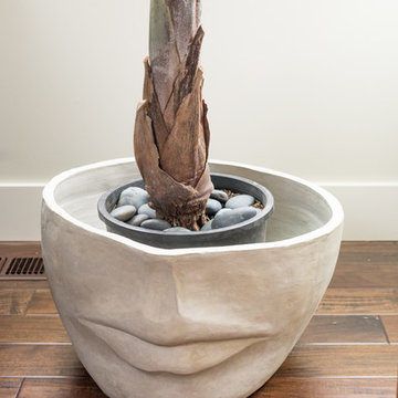 Yarrow Point: Modern Great Room