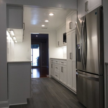 Contemporary Kitchen Remodel in Alexandria, Virginia
