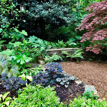 Front Stroll Garden: Spring, 2019.