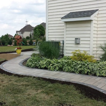 Our Work