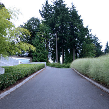 Hillside Residence Entry Drive