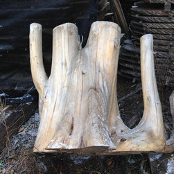 Cedar Stumps - Products