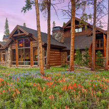 Log Cabin Rooflines