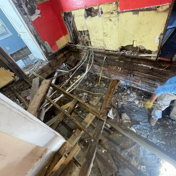 Termite Damage Is at it Again
