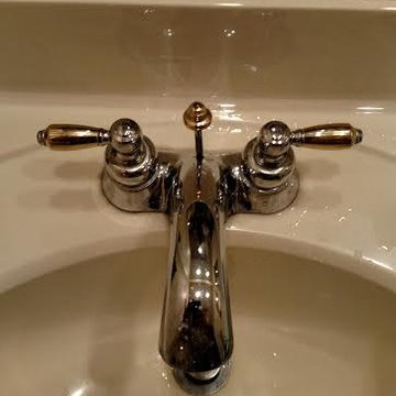 Faucet Rebuilds