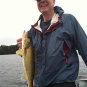Don Horvath's photo