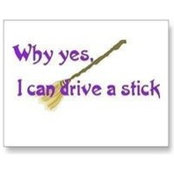 Lynn McCoy's photo