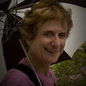Sue Scheinermans foto