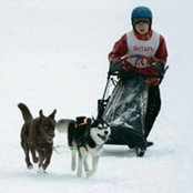 Photo de Майя Лузянина